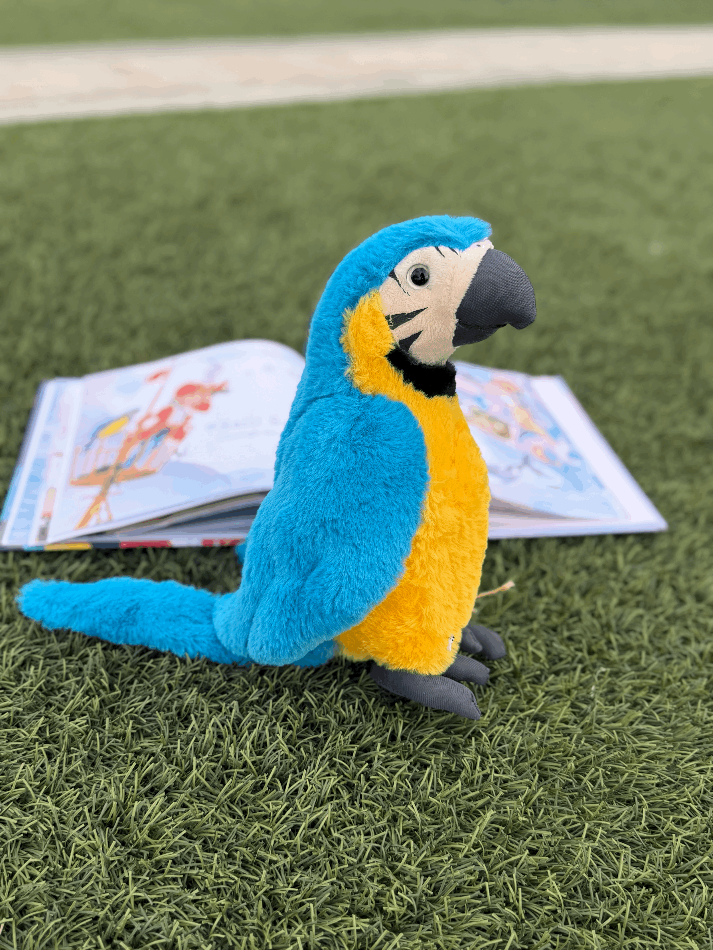Parrot "ME" Plushie