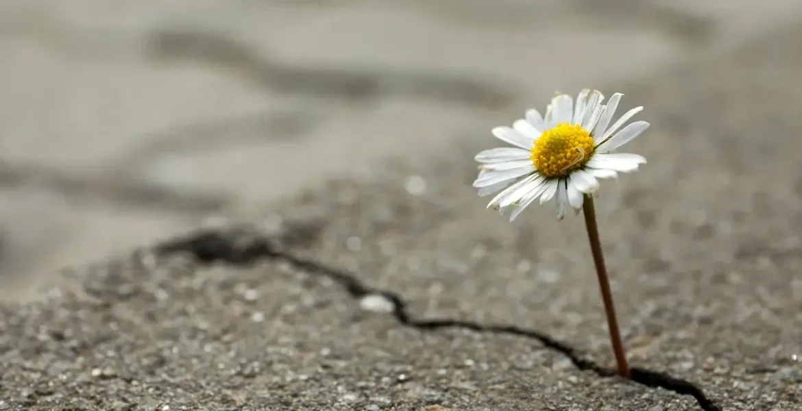 10 Techniques to Build Resilience