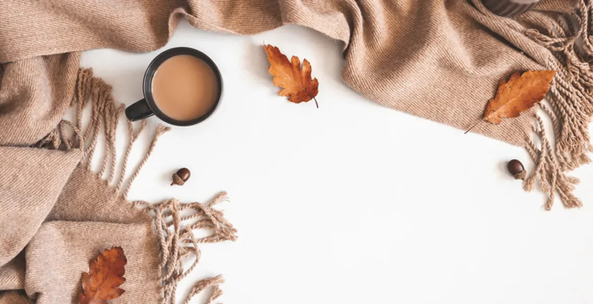 Fall Is So Yin: Embracing Autumn Energy