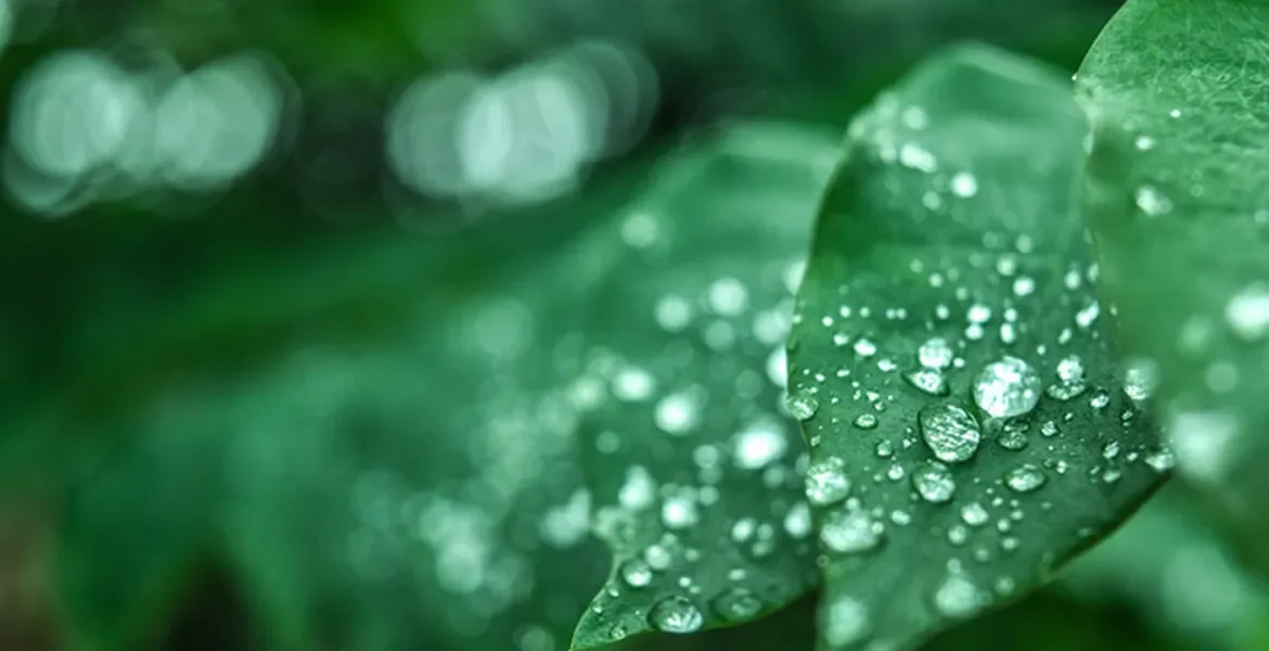 How to Find Stillness Every Day, Throughout the Day