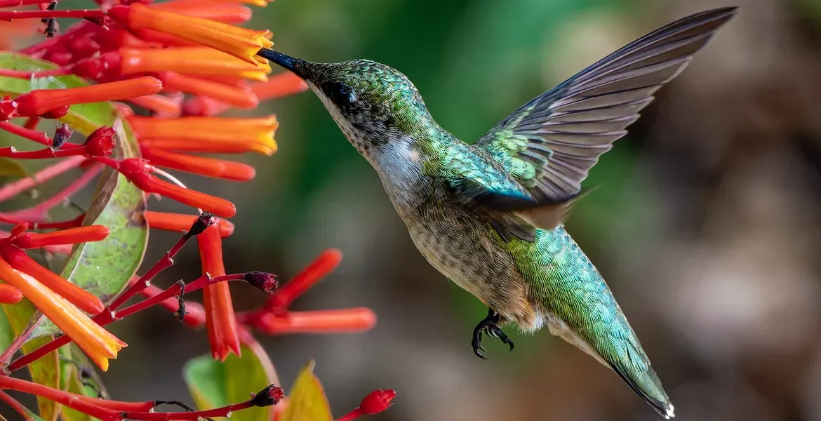 When the World Won’t Stop Trembling