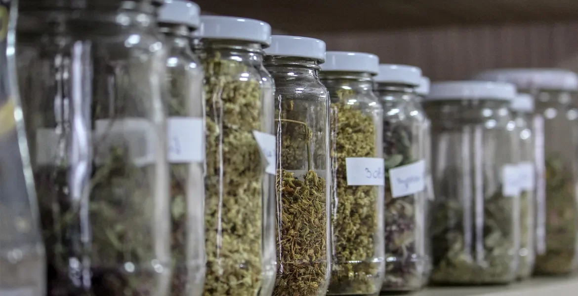 A French Herboristerie Where Healing Is Happening