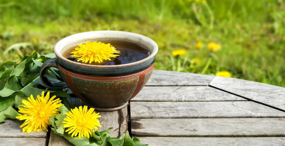 Herbal Teas for Gut Health