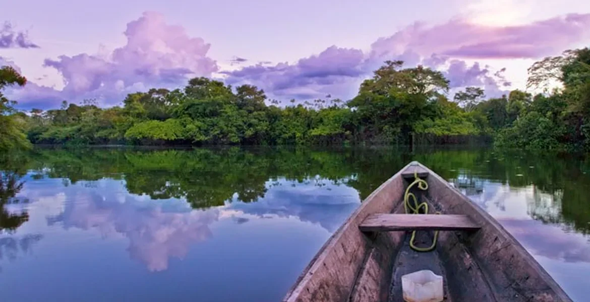 Healthy Aging Secrets from The Amazon