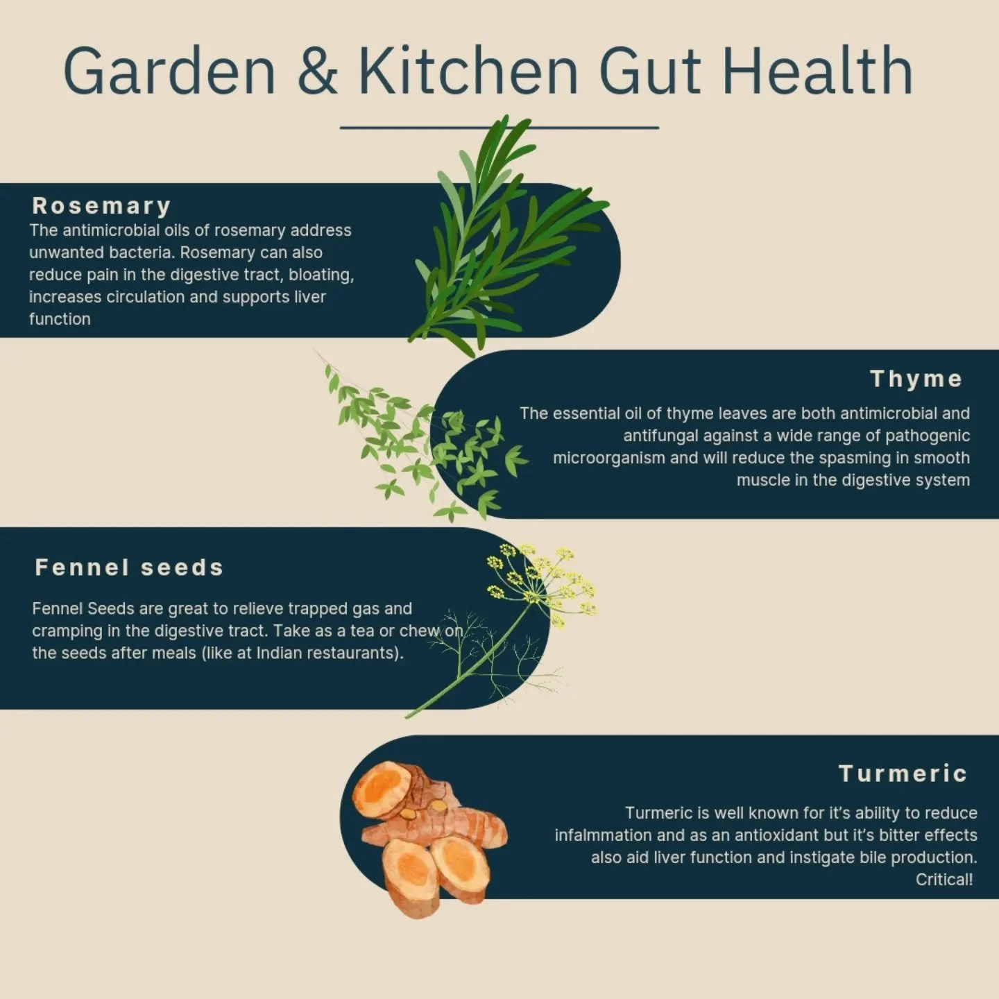 Supplements and meds can offer some great rewards when we're addressing long term gut symptoms. But using real ingredients, you probably already have on hand can give you great relief that could change the course of your day. 

Lean in to nature's pa