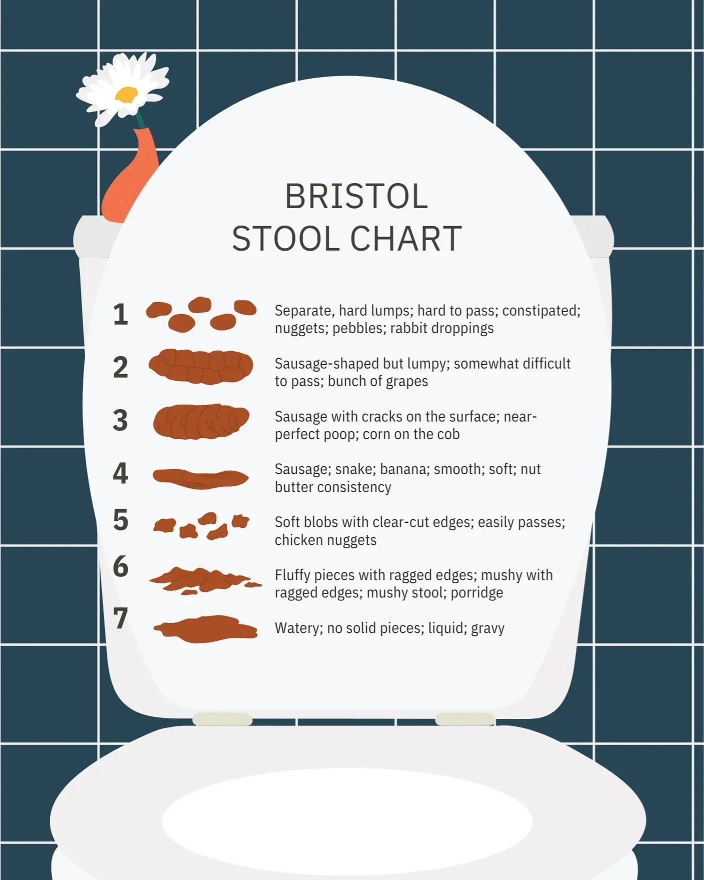 What is considered a normal poo? 💩🚽🧻🪠

Although the 'end product' is unique to each individual, there are a few key characteristics that indicate a healthy stool, or an unhealthy one. 

Check out the Bristol Stool Chart, ideally you'll be somewhe