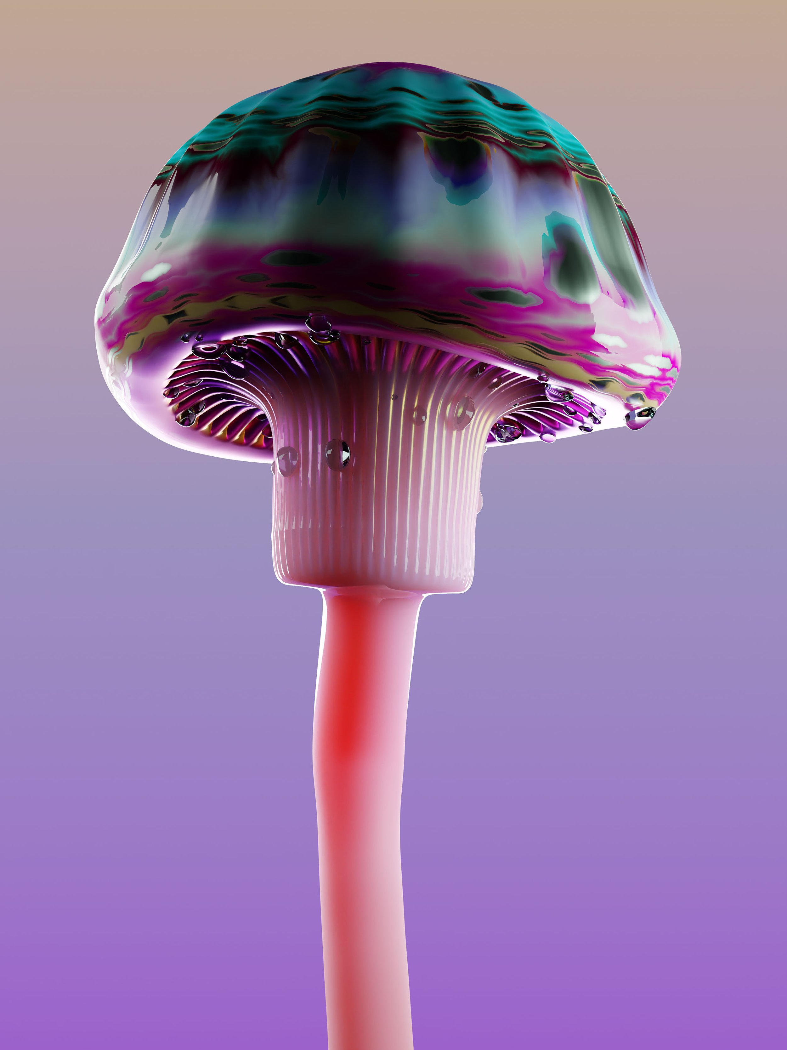 RareMushroom_Print_0222.jpeg