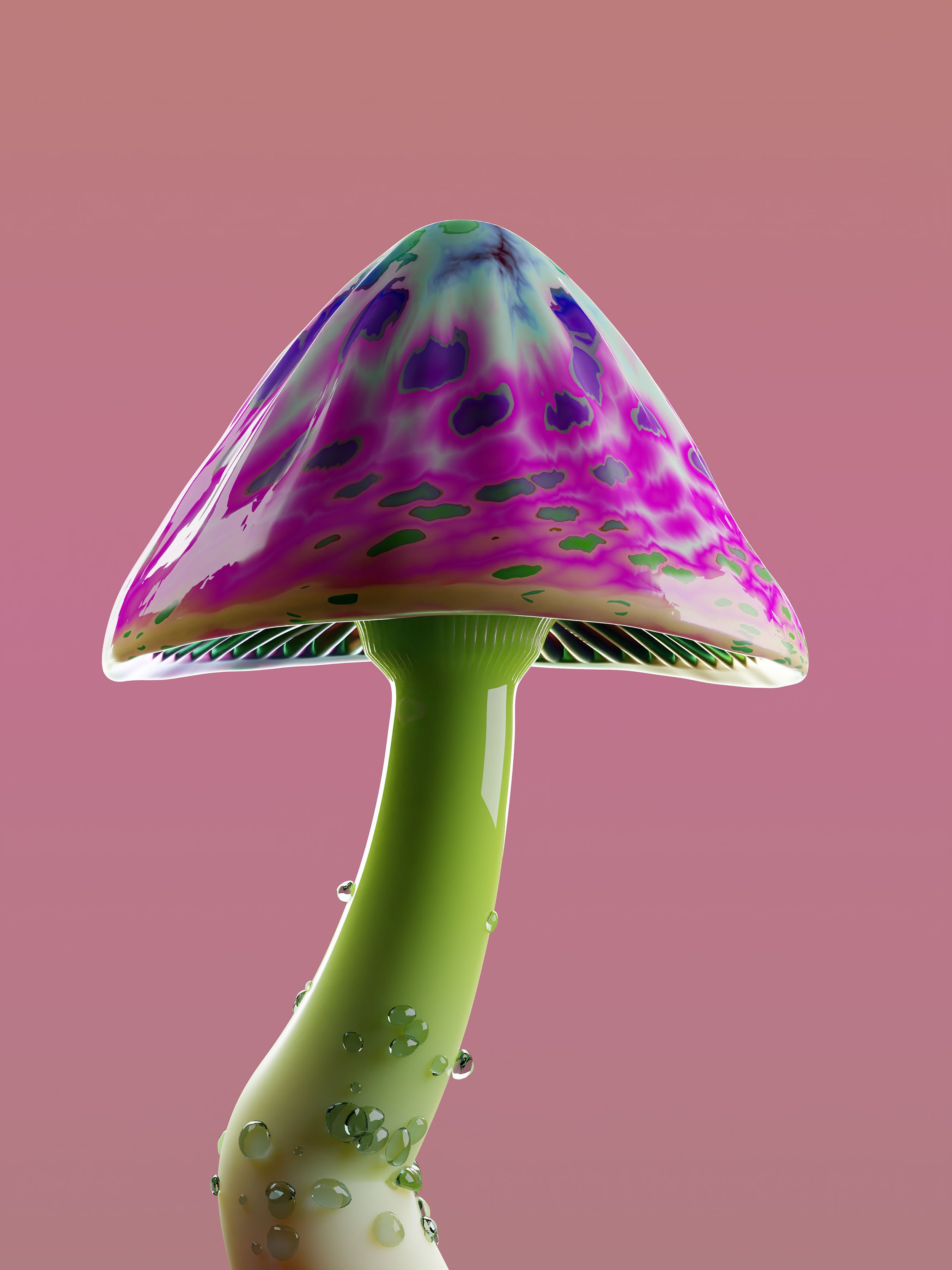 RareMushroom_Print_0218.jpeg