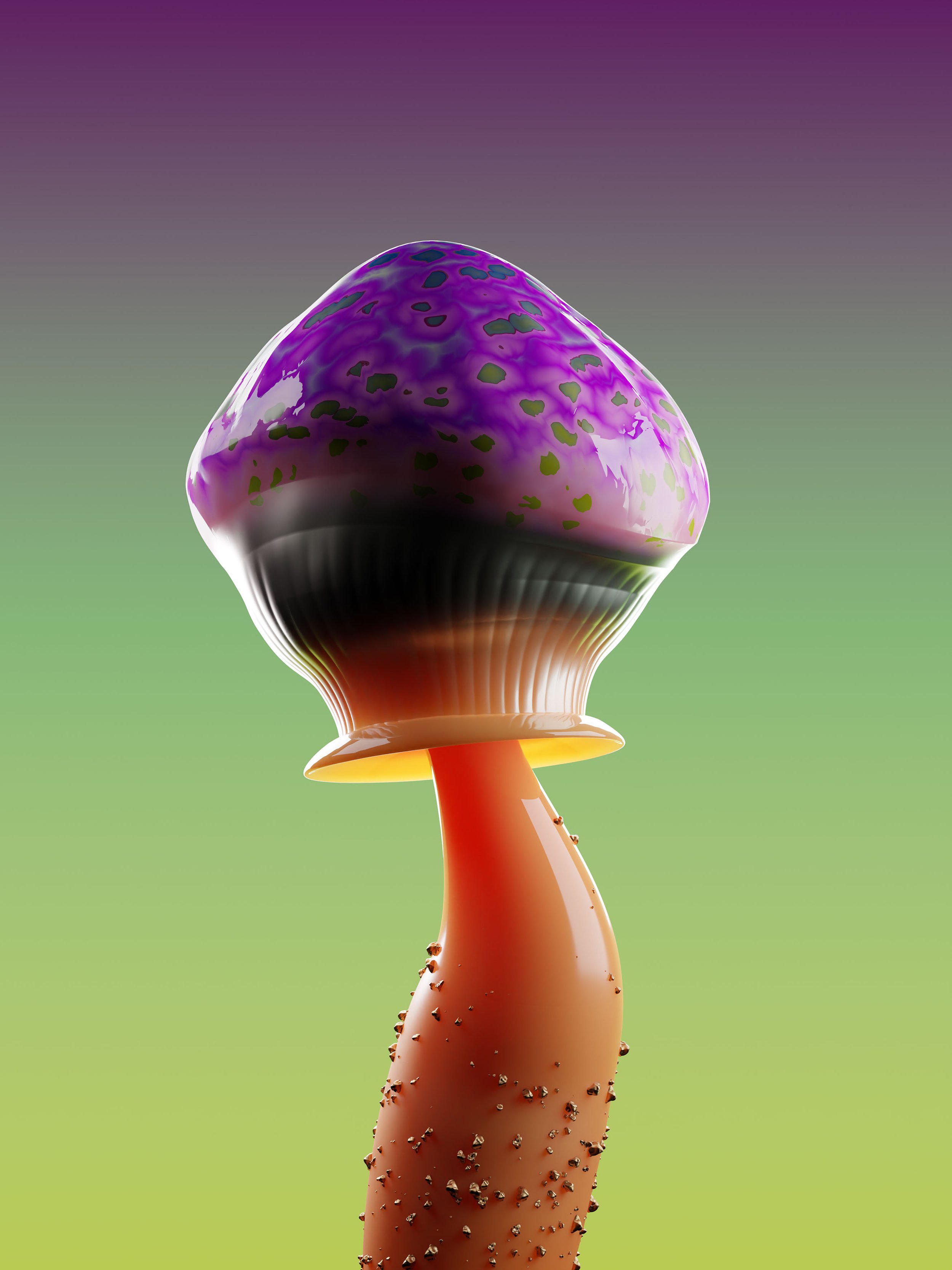 RareMushroom_Print_0226.jpeg
