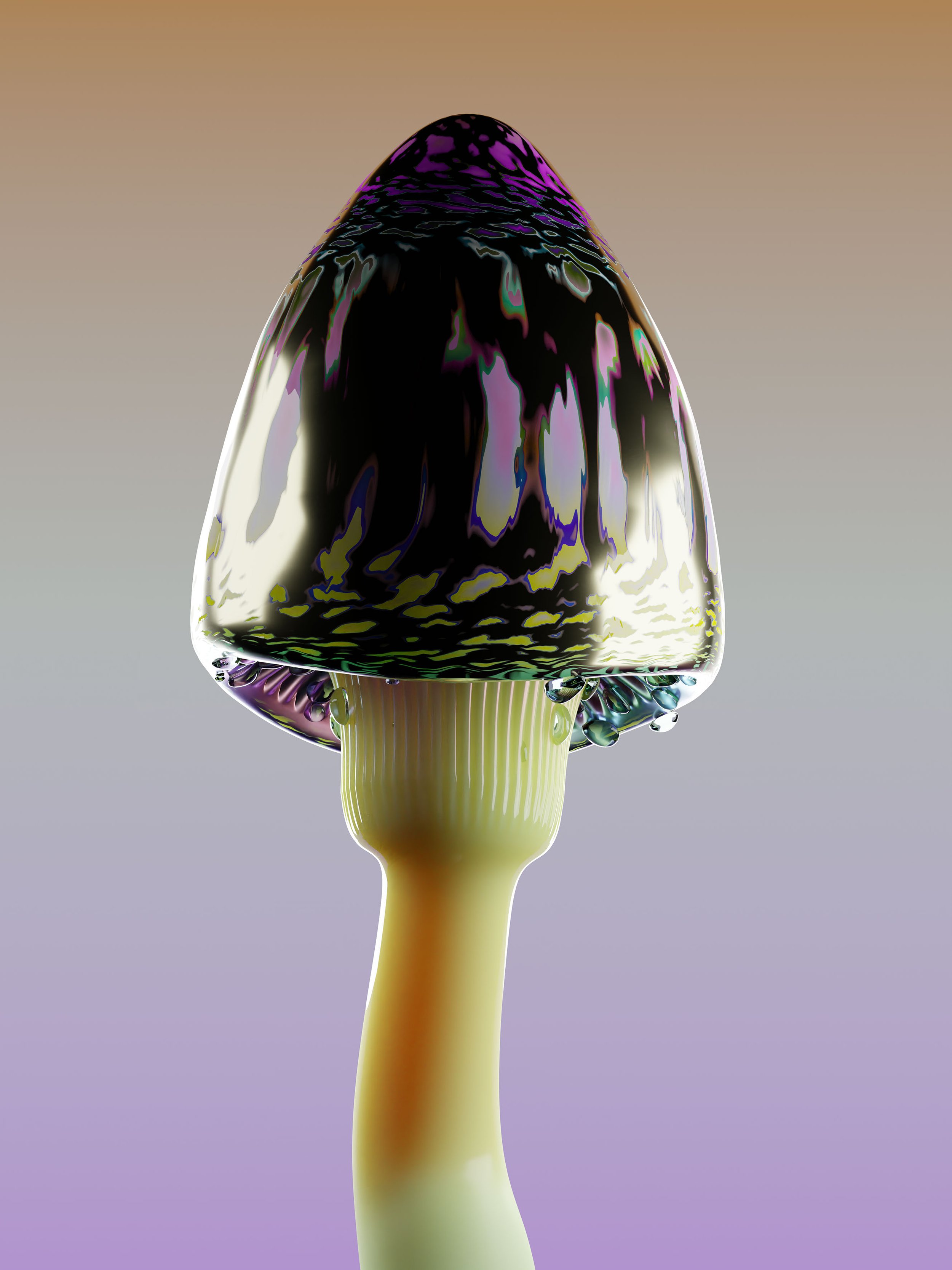 RareMushroom_Print_0225.jpeg