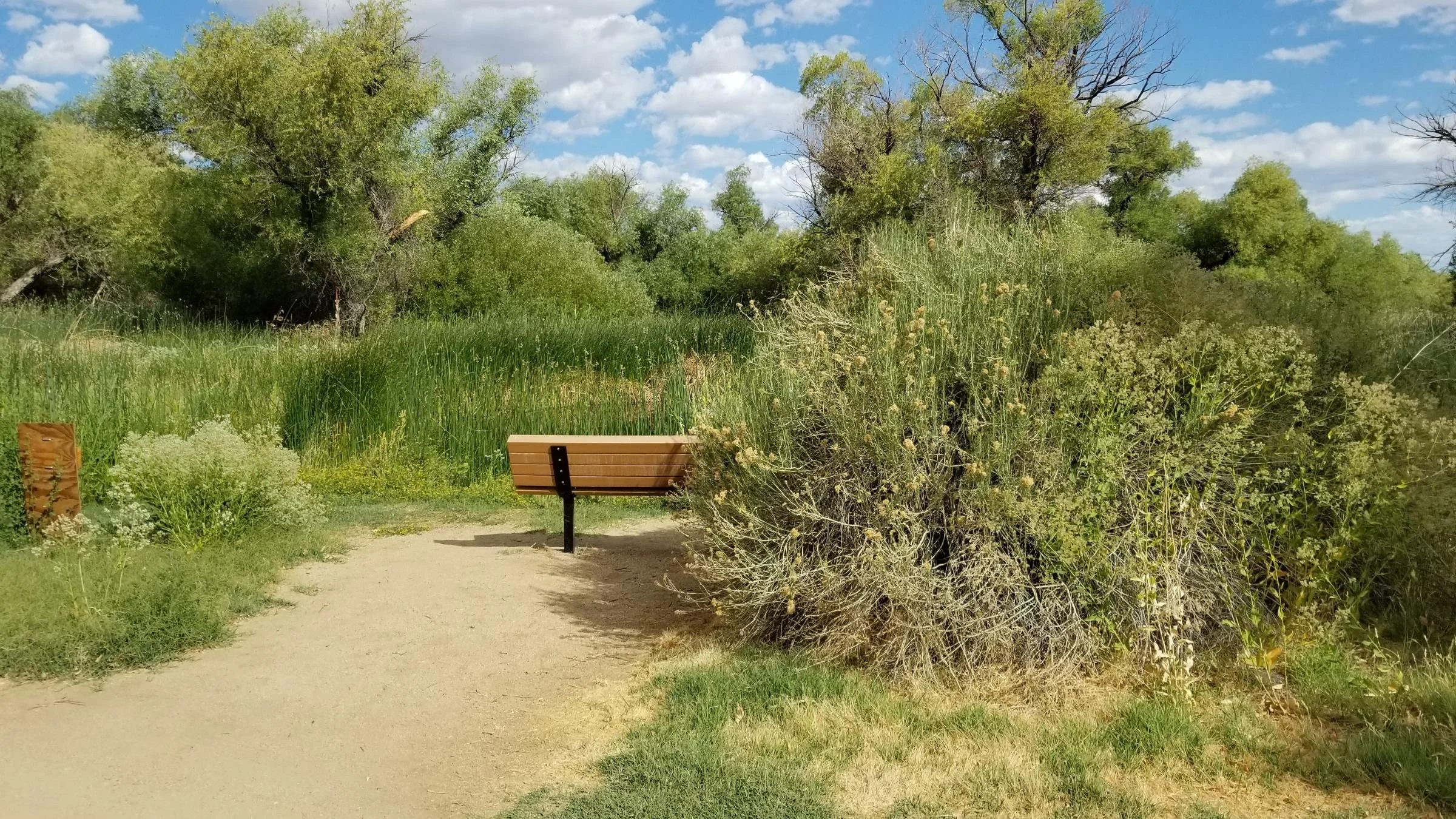 Water Connects Us: COSA