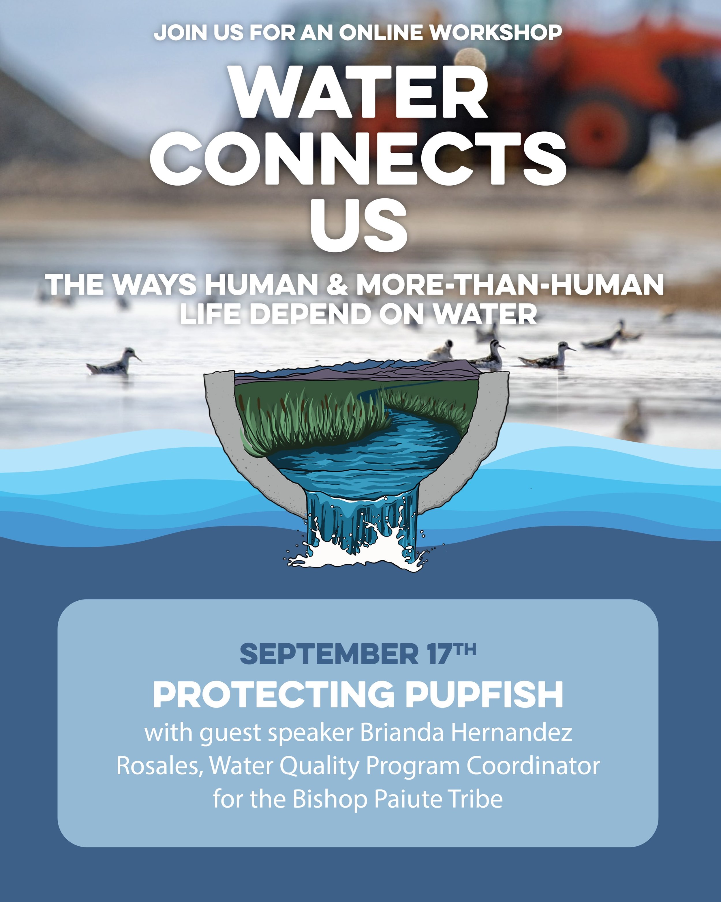 Join us on Zoom for a one-hour presentation and discussion with Revealing Payahuunadü Water Empowerment Organizers, Charlene Buff, EmilyOntiveros and guest speaker Brianda Hernandez Rosales, Water Quality Program Coordinator for the Bishop Paiute T