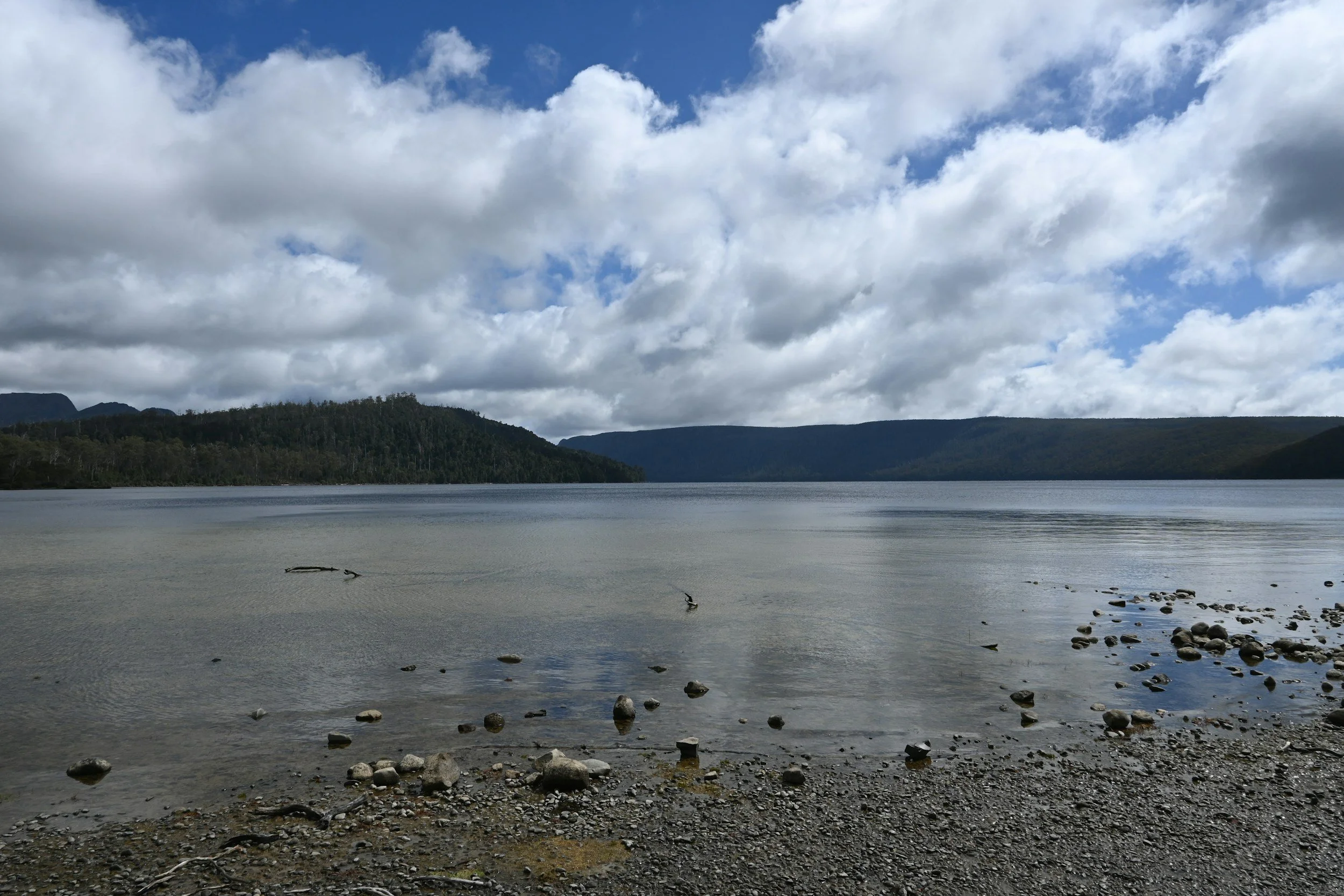 Lake St Clair National Park