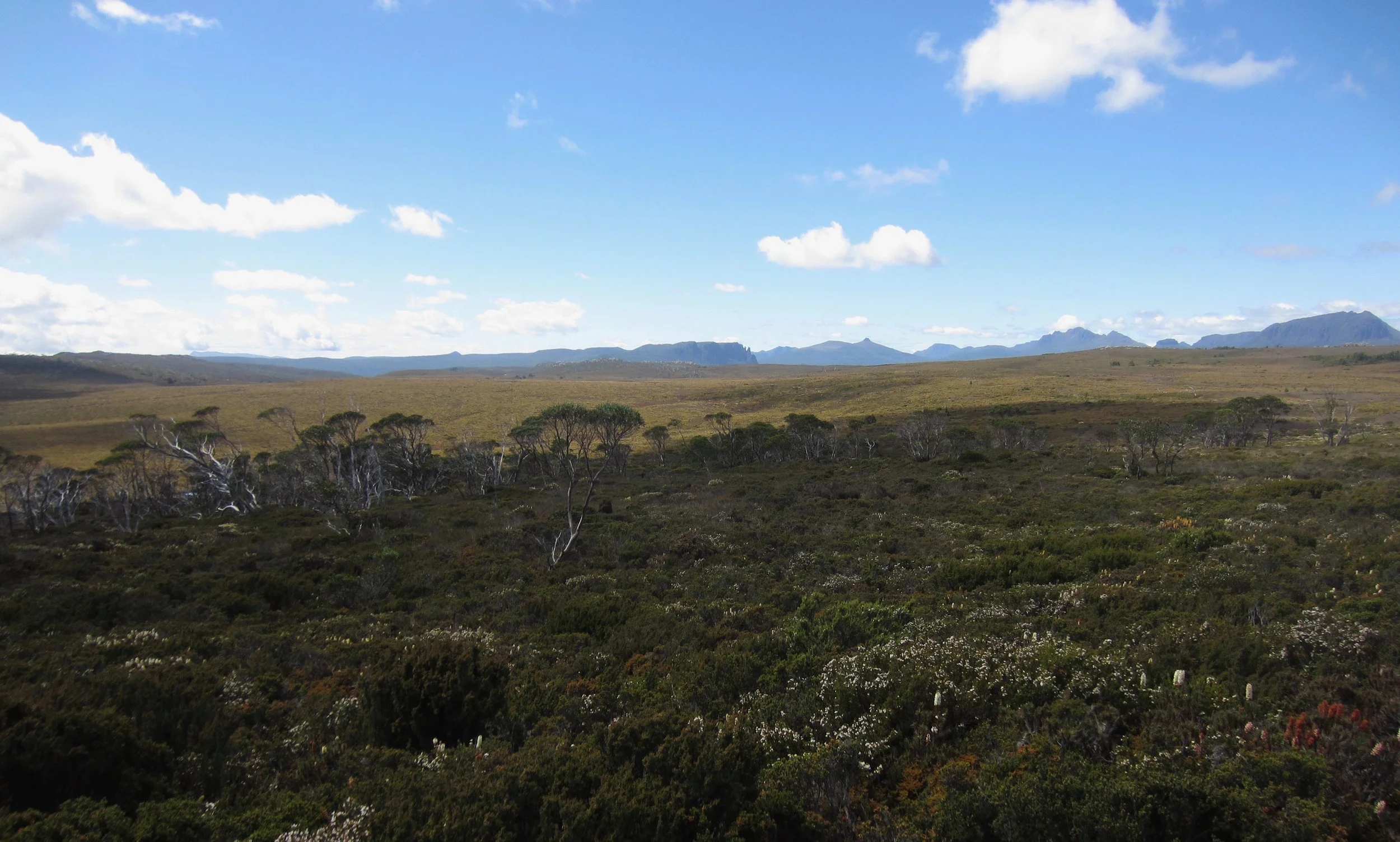 mountains over the overland track