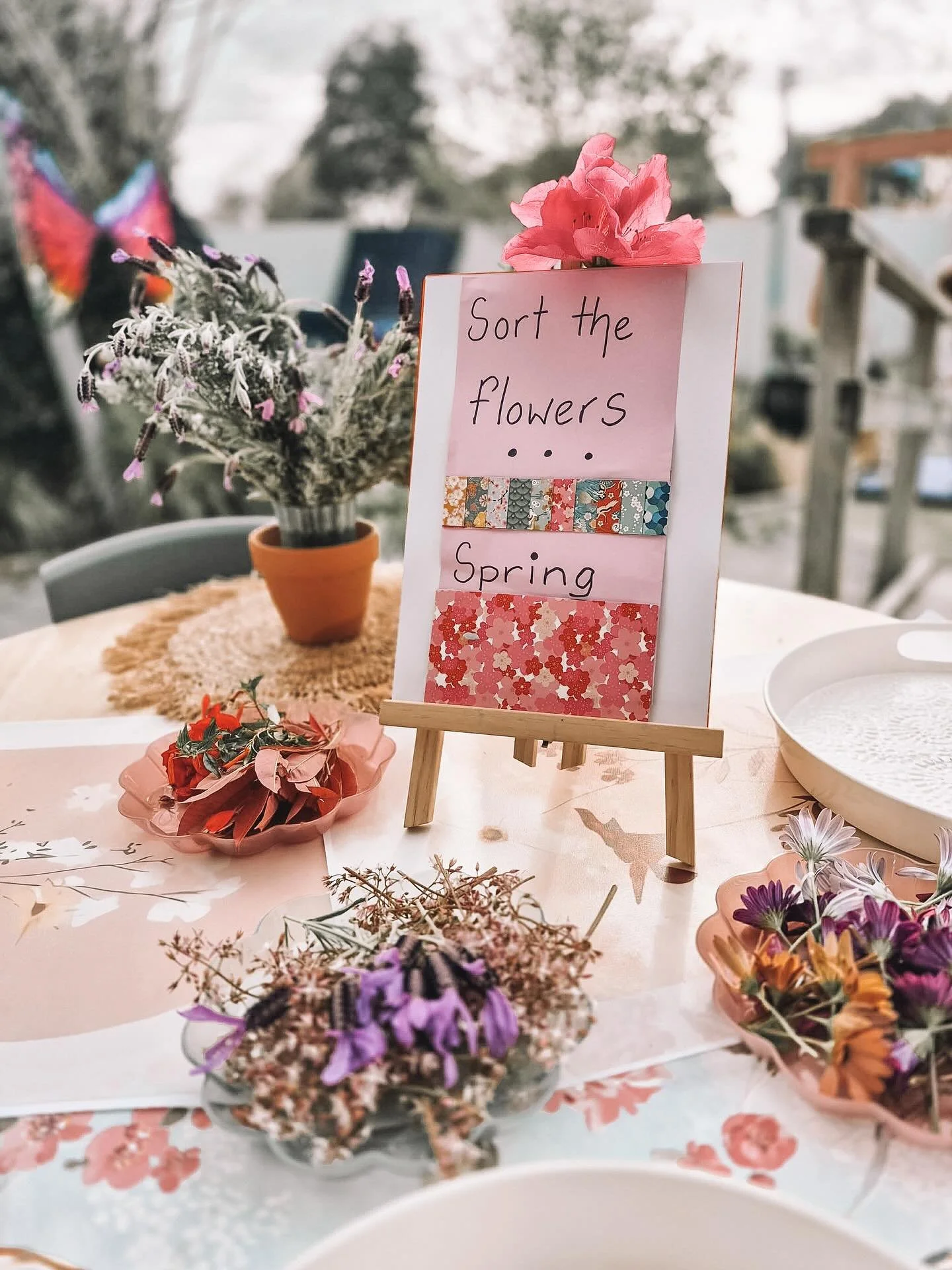 🌻🌱 Spring Intentional teaching 🌱🌻 
~provided by our amazing kaiako through thoughtful curriculum design, weaving ako, wānanga, and whanaungatanga to nurture the learning journeys of our tamariki