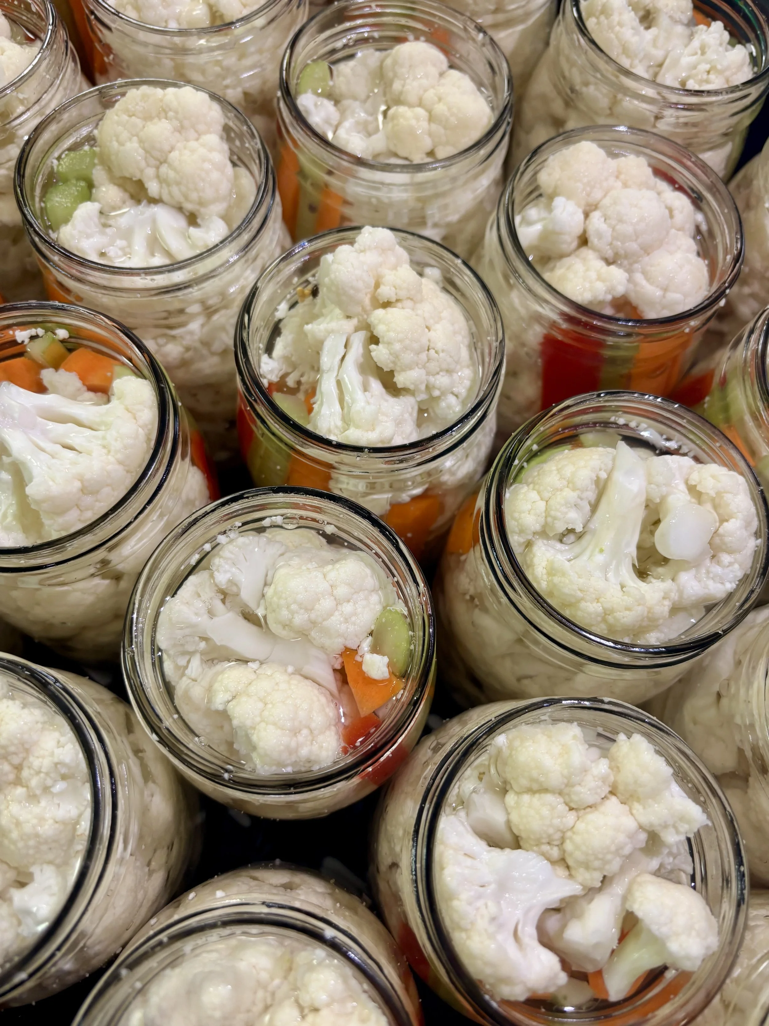 Multiple glass jars filled with pickled cauliflower, carrots, and cucumbers submerged in a liquid brine.