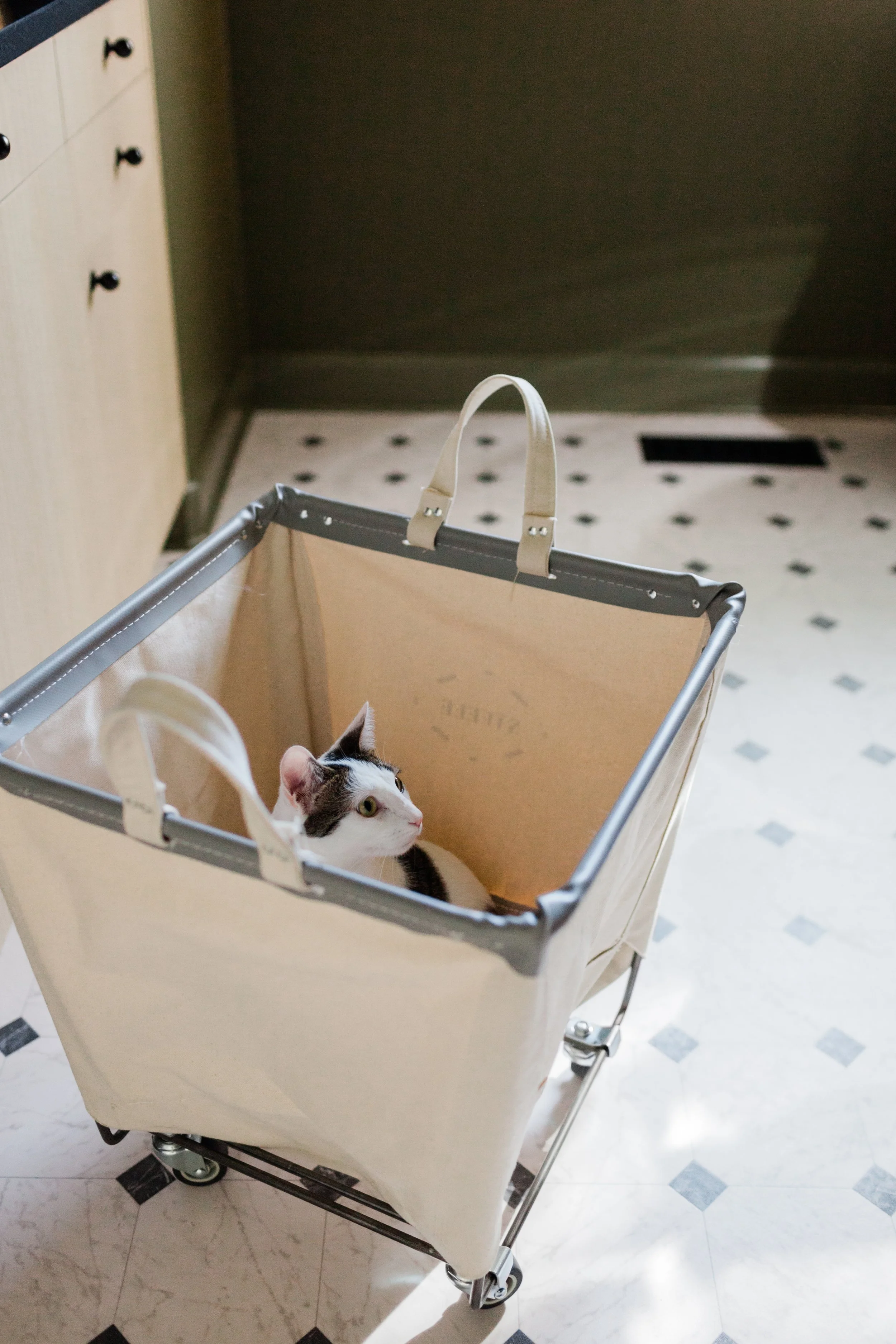 functional-nest-mill-pond-laundry-room-08.jpg