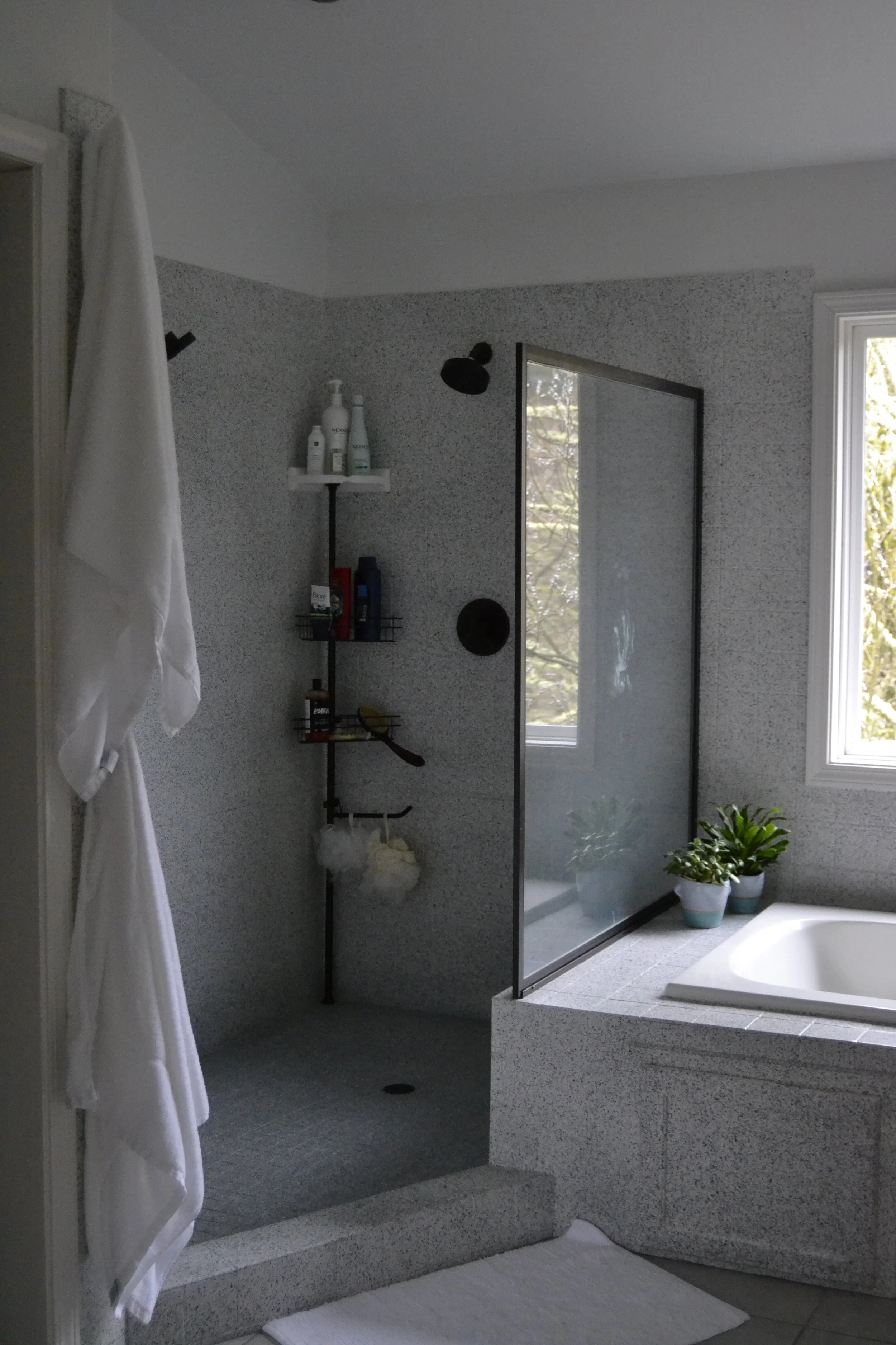 Master bath 6.JPG