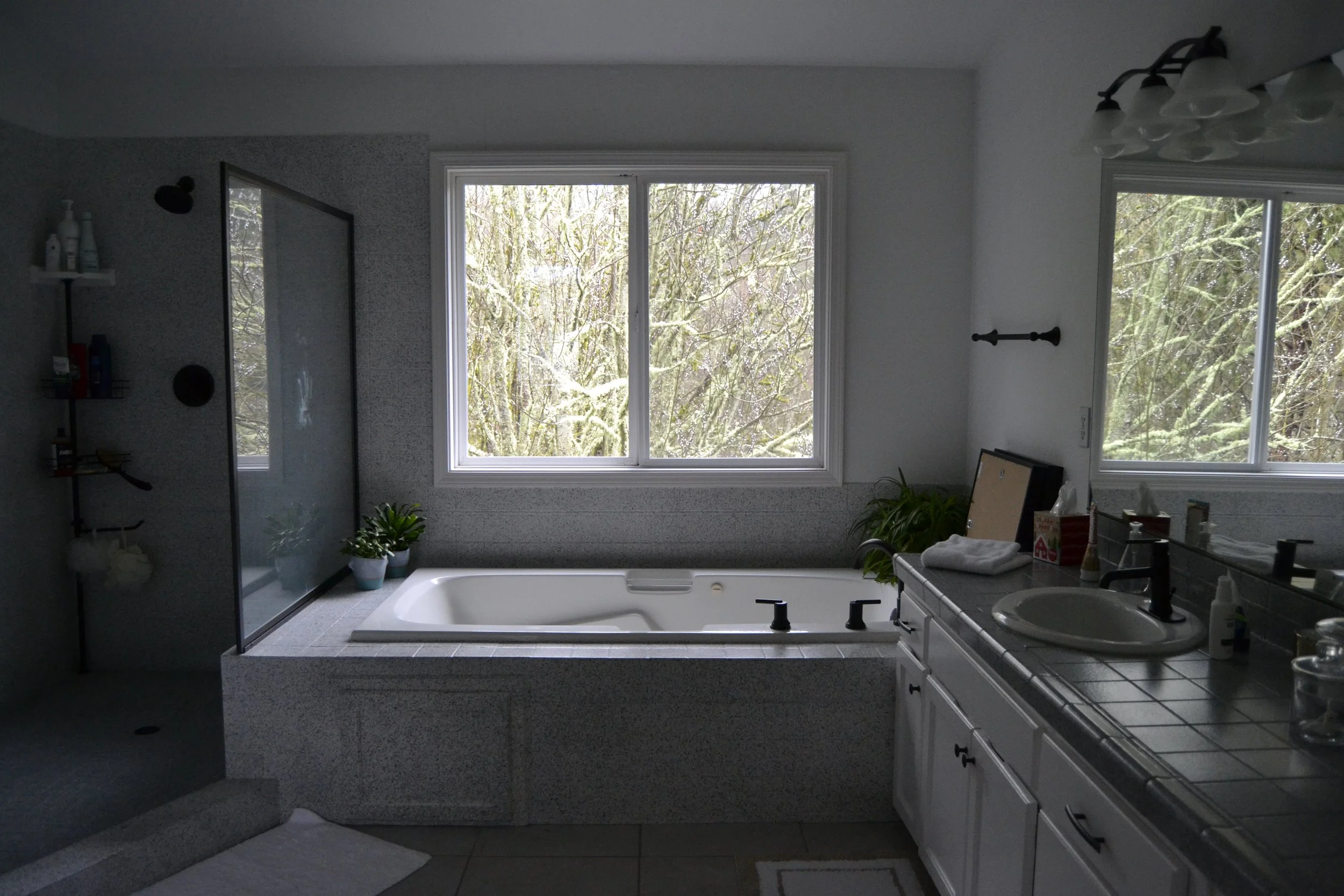 Master bath 5.JPG