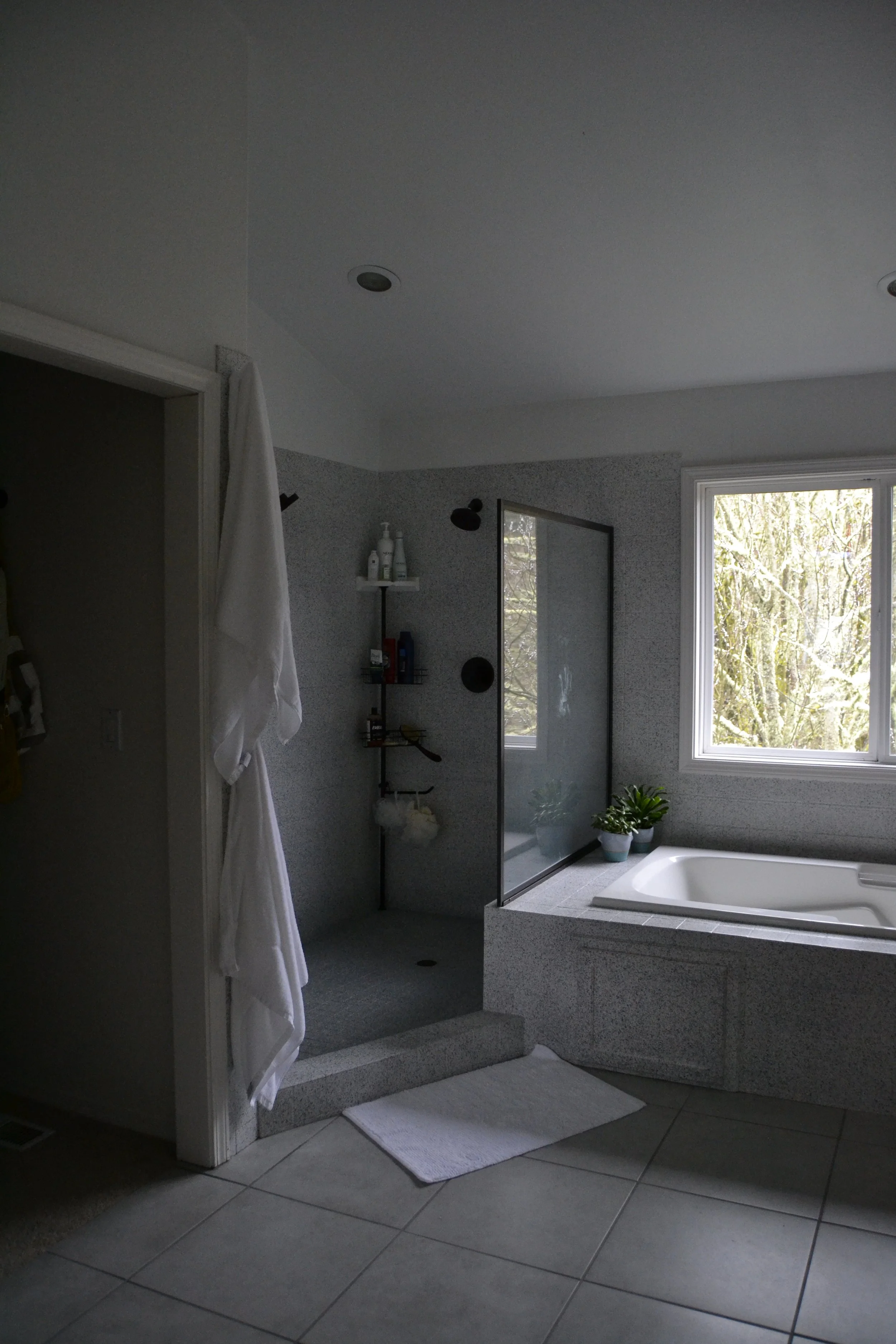 Master bath 3.JPG