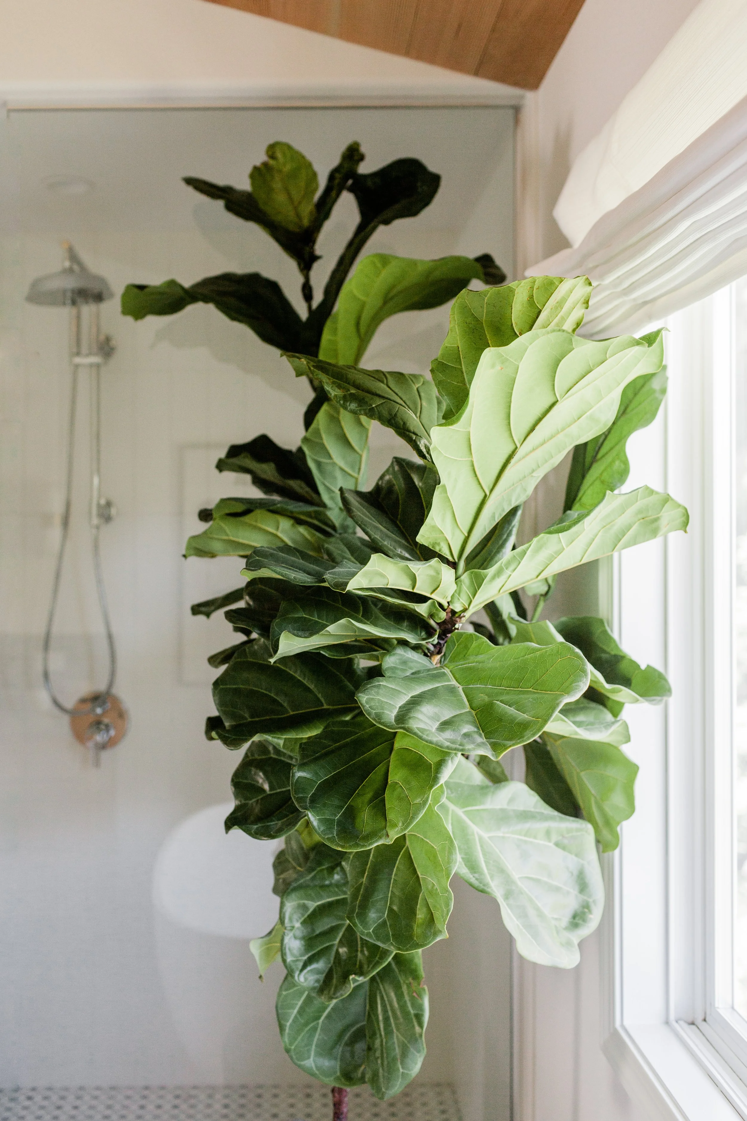 functional-nest-mill-pond-master-bath-15.jpg