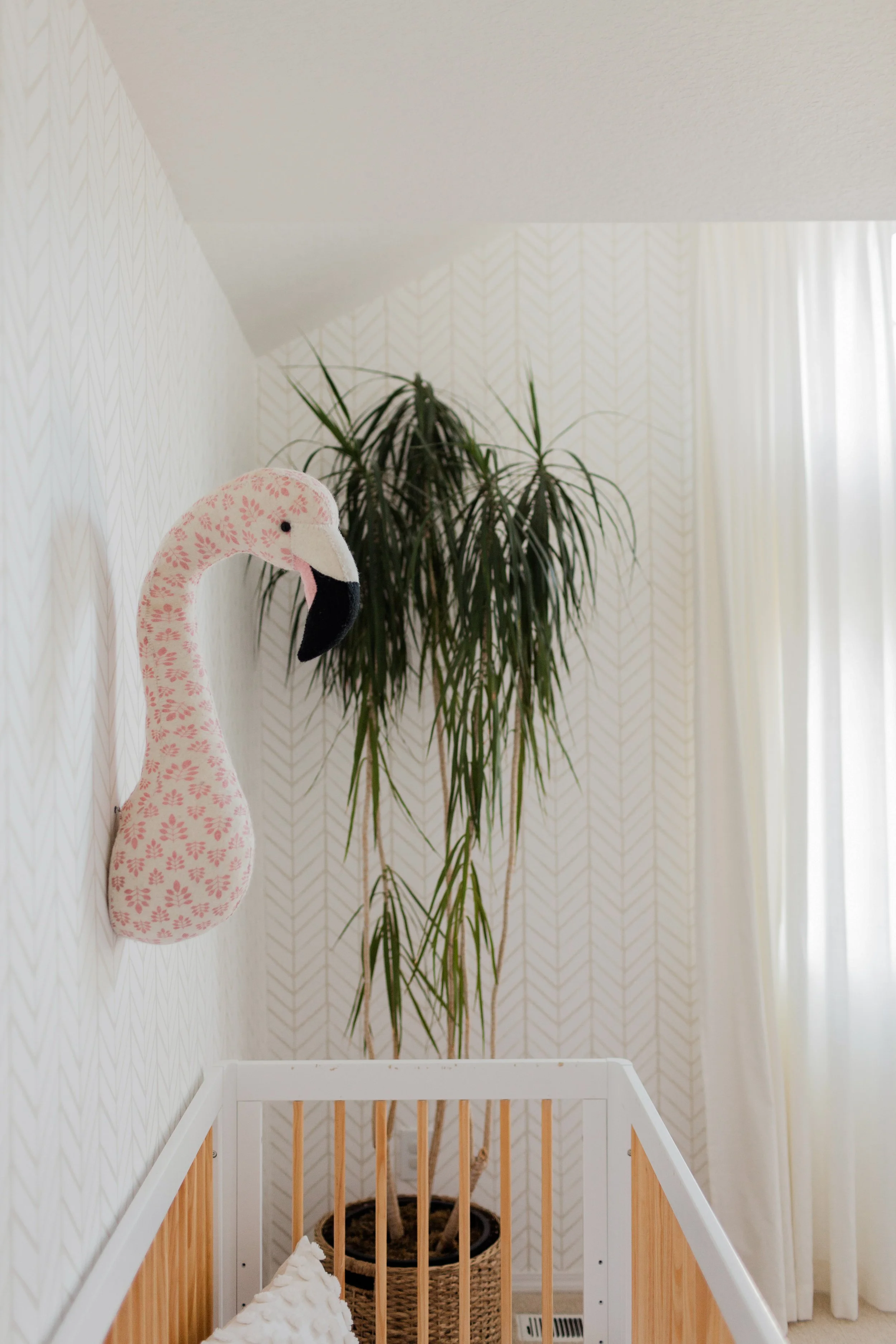 Evernew-HRDC-March 2019-2753.jpeg