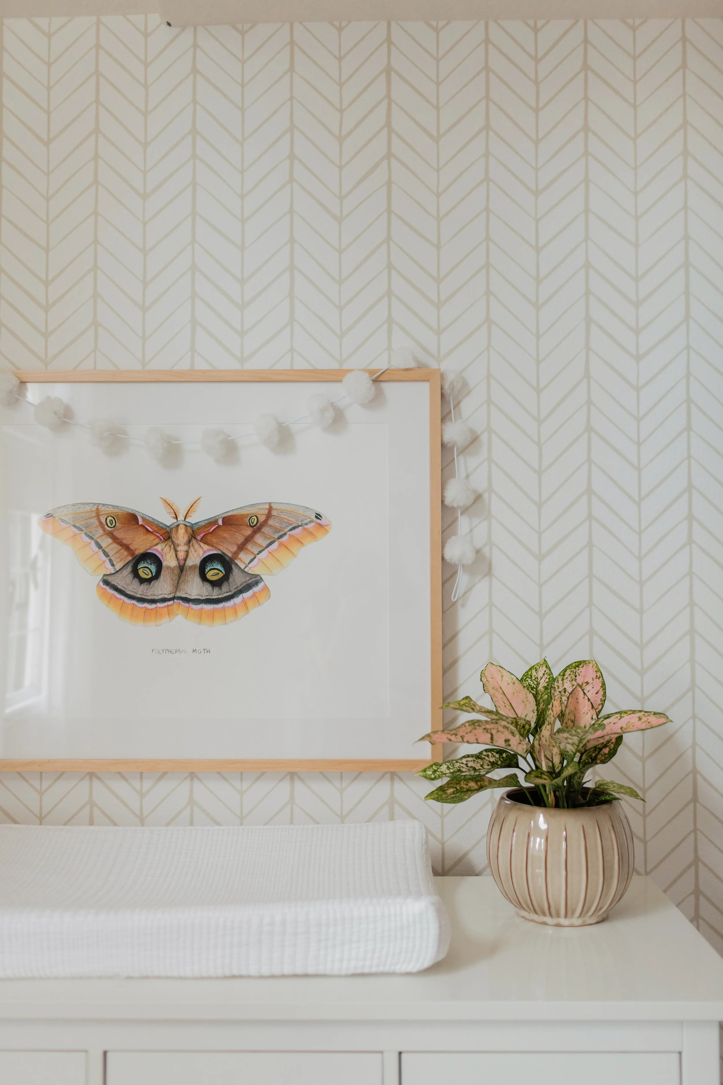 Evernew-HRDC-March 2019-2746.jpeg