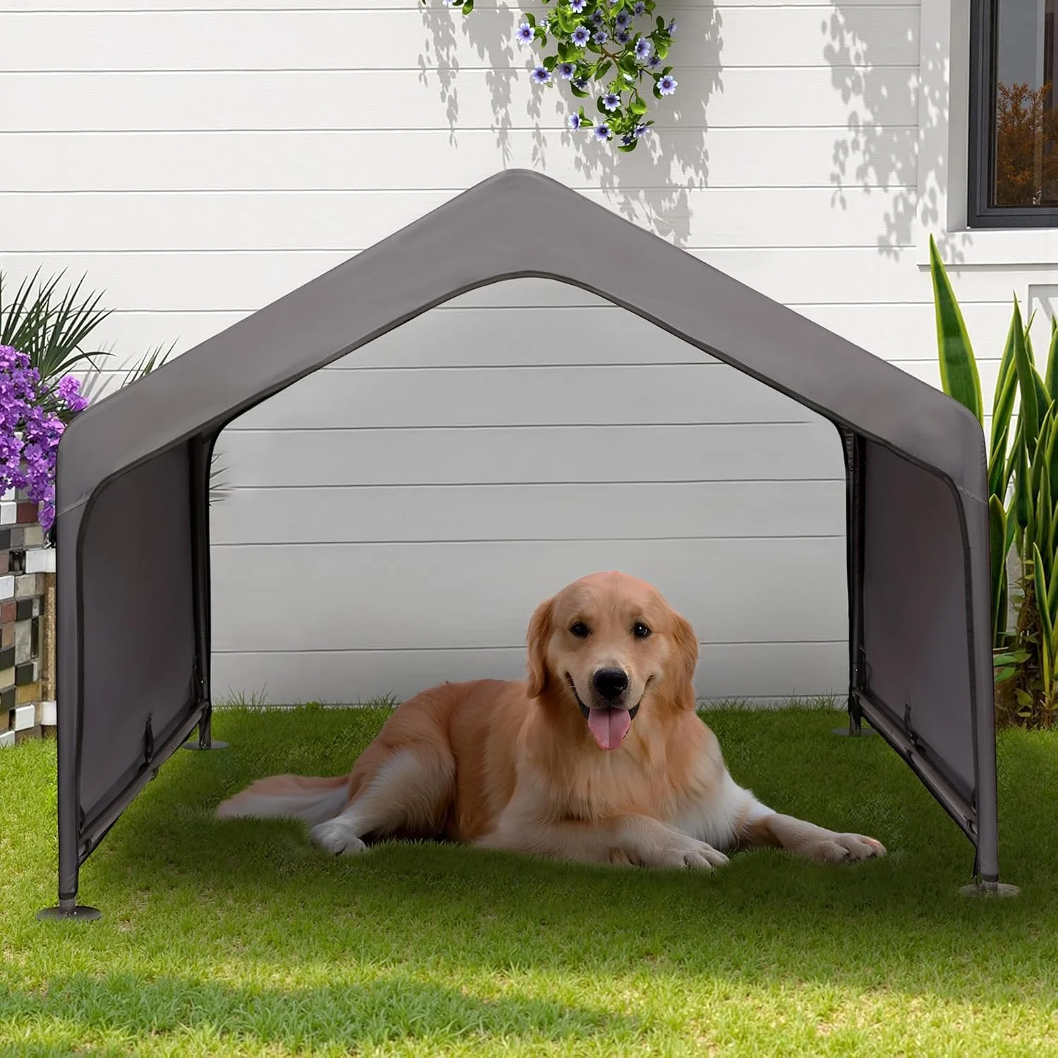 Possible doghouse I want to get for Zelda