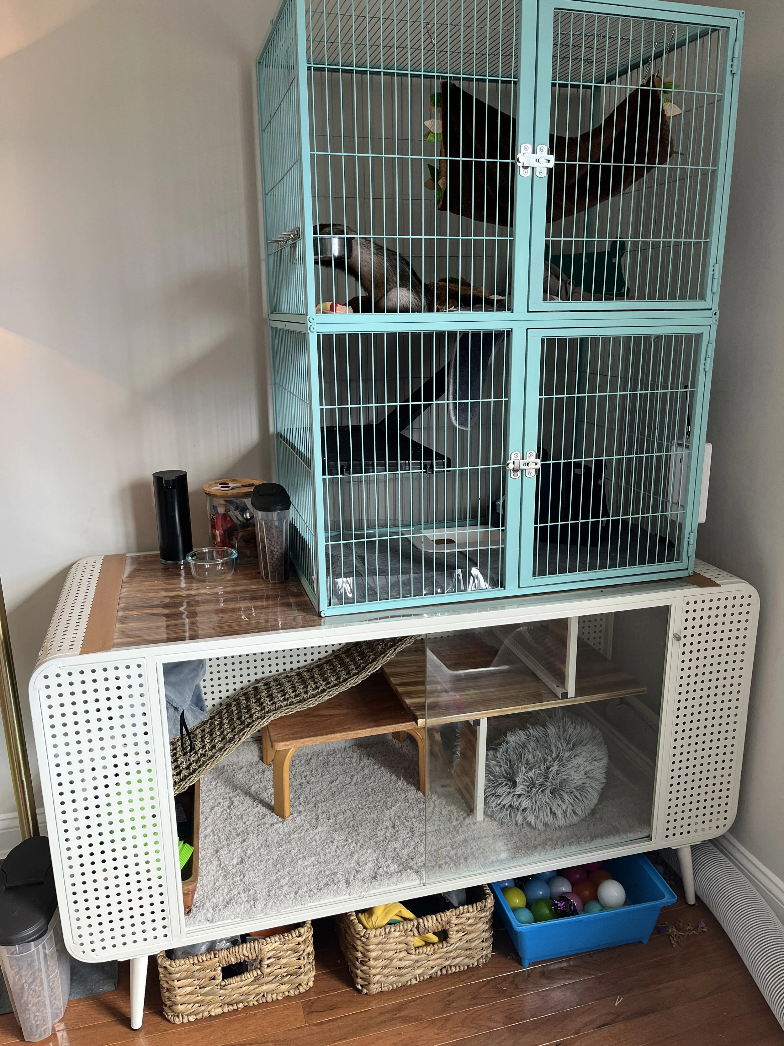 Assembling the cage on top of the cat house