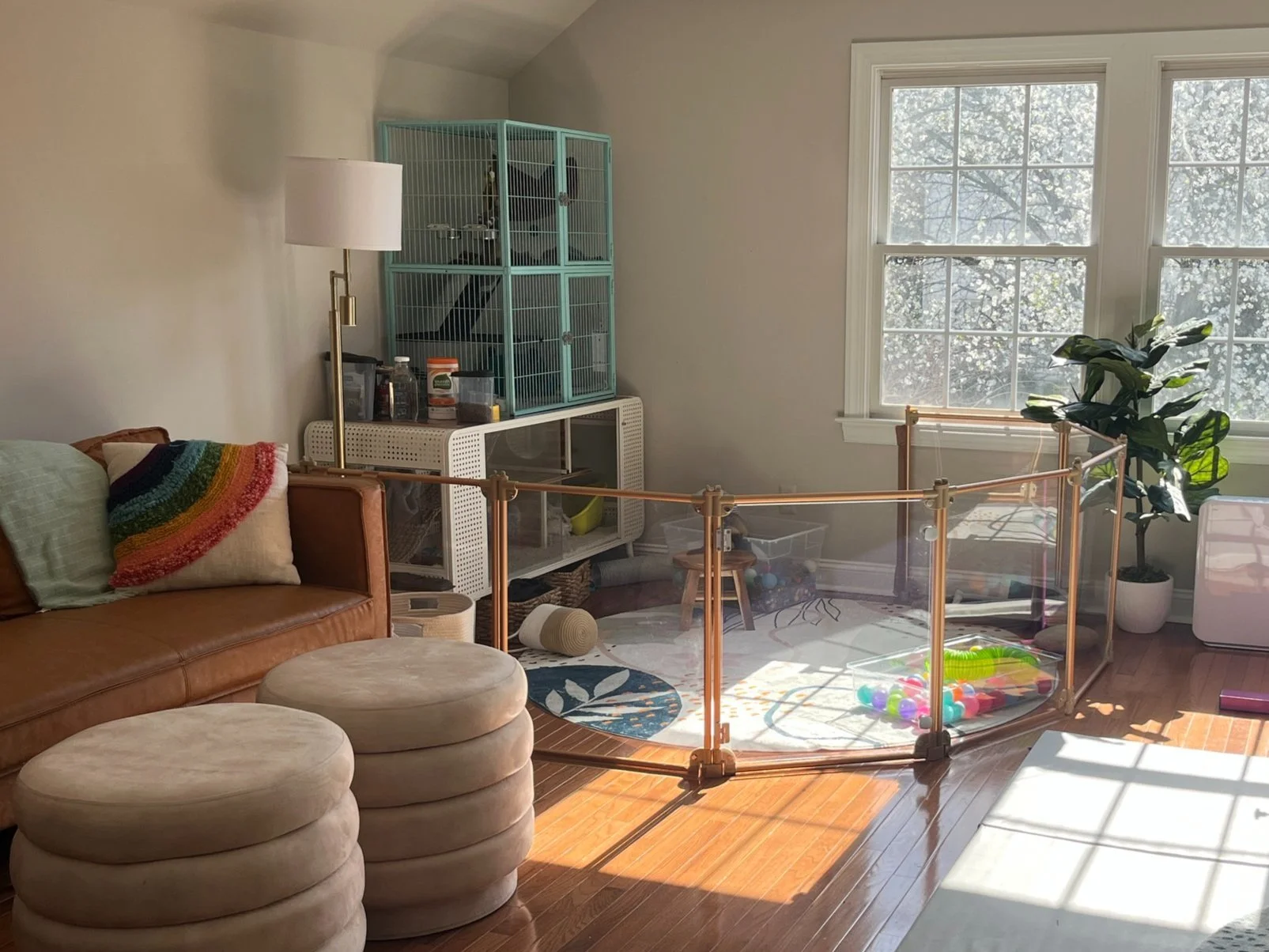 Ferret area