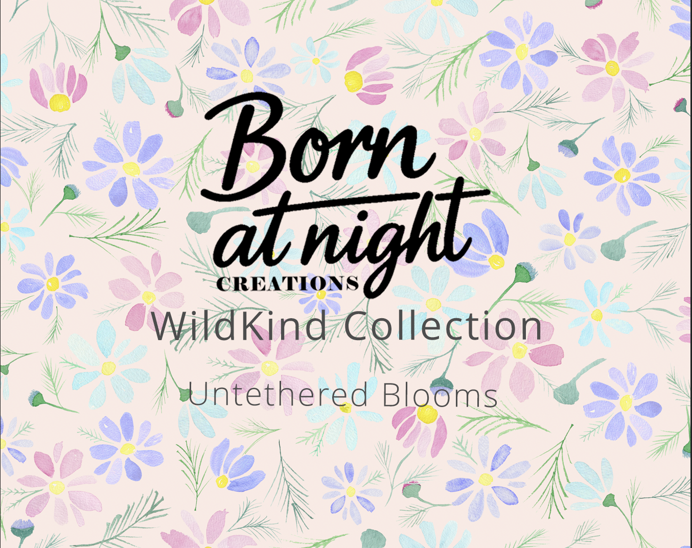 When a Laptop Died and WildKind Was Reborn…</span>