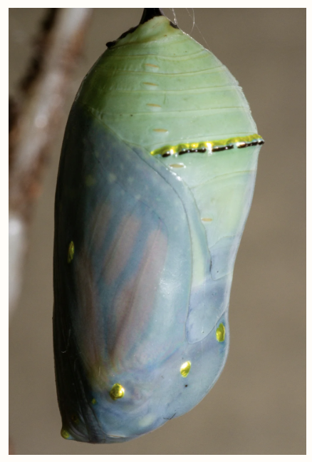 An Awakening Beneath the Surface