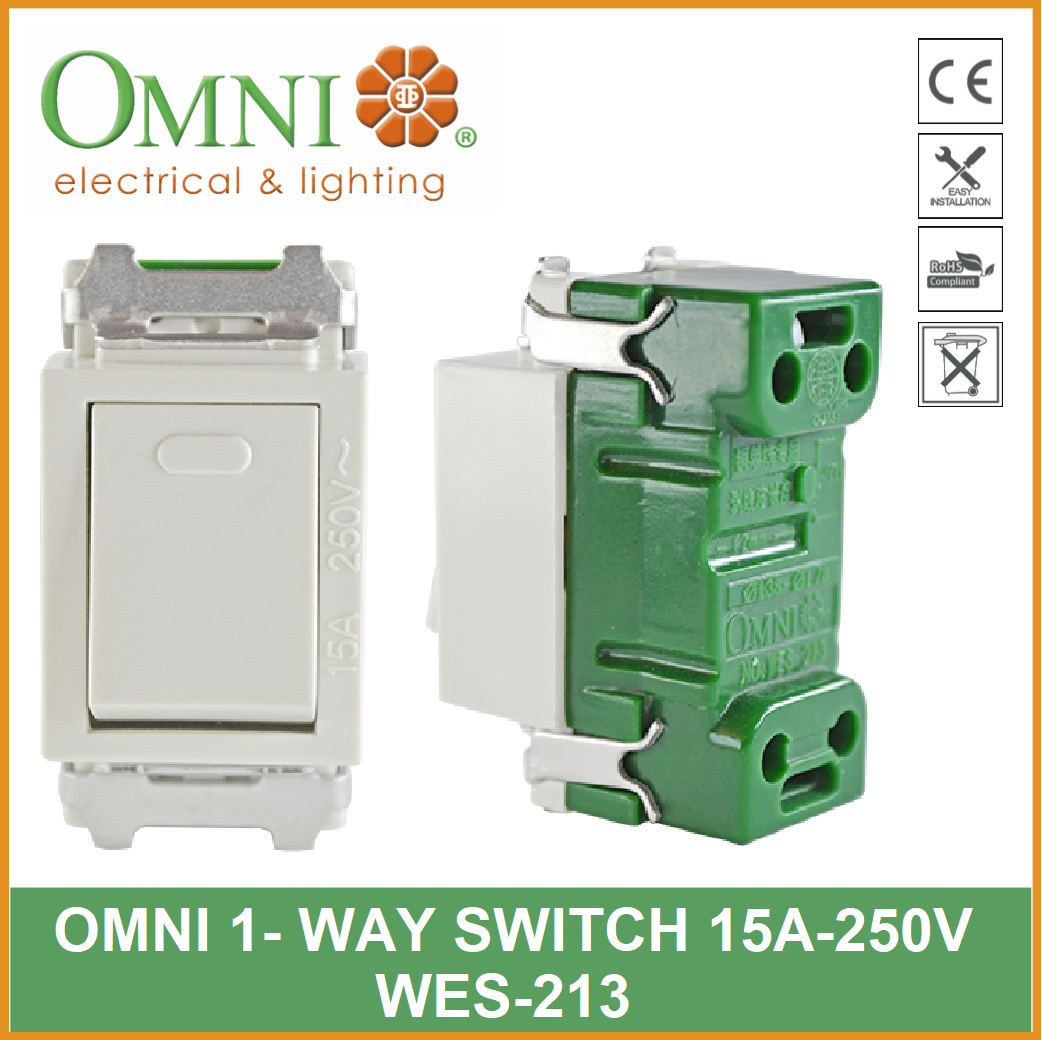 WES-213-PK 1-WAY SWITCH 16A 250V IN BLISTER PACK