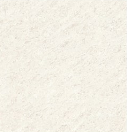 COH TILE WZD6B218-4K Oxford Beige