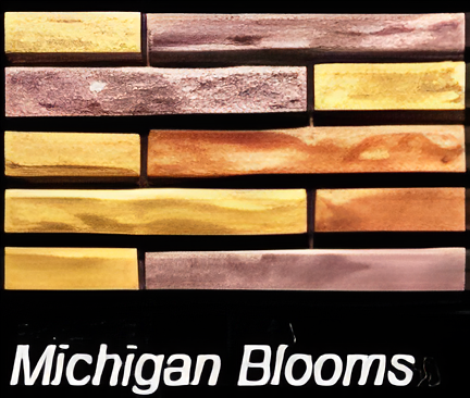 ASI MICHIGAN BLOOMS KENTUCKY BRICKS