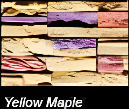 ASI YELLOW MAPLE FLINT STONES