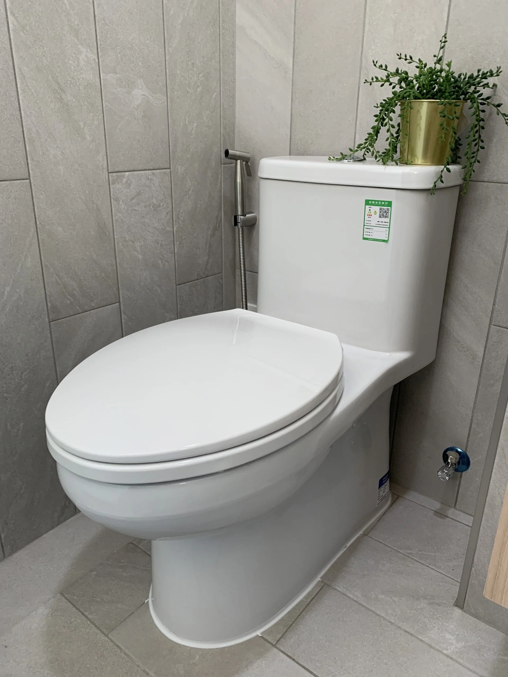 LIXIL Yoka OP with SSW3 2090B