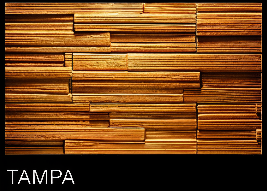 ASI TAMPA OKLAHOMA SERIES