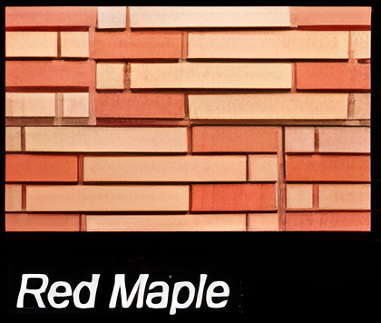 ASI RED MAPLE STACKED BRICKS
