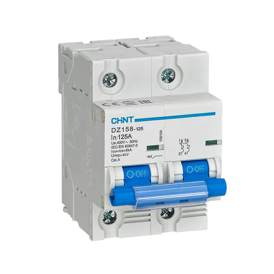 DZ158-125 2P 100A MAIN MINIATURE CIRCUIT BREAKERS