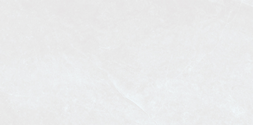 COH TILE 60X60CM GLAZED PORCELAIN TILES 36P021A-1 Destin Bone Nat