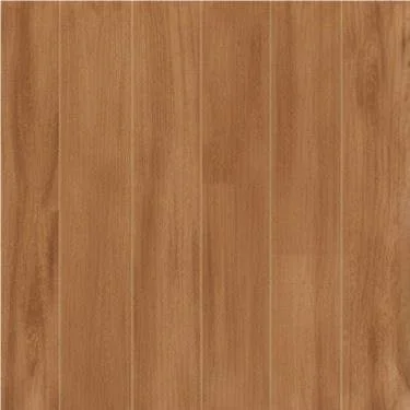 Mariwasa 60x60 Digital Quirino