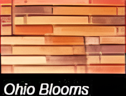 ASI OHIO BLOOMS STACKED BRICKS