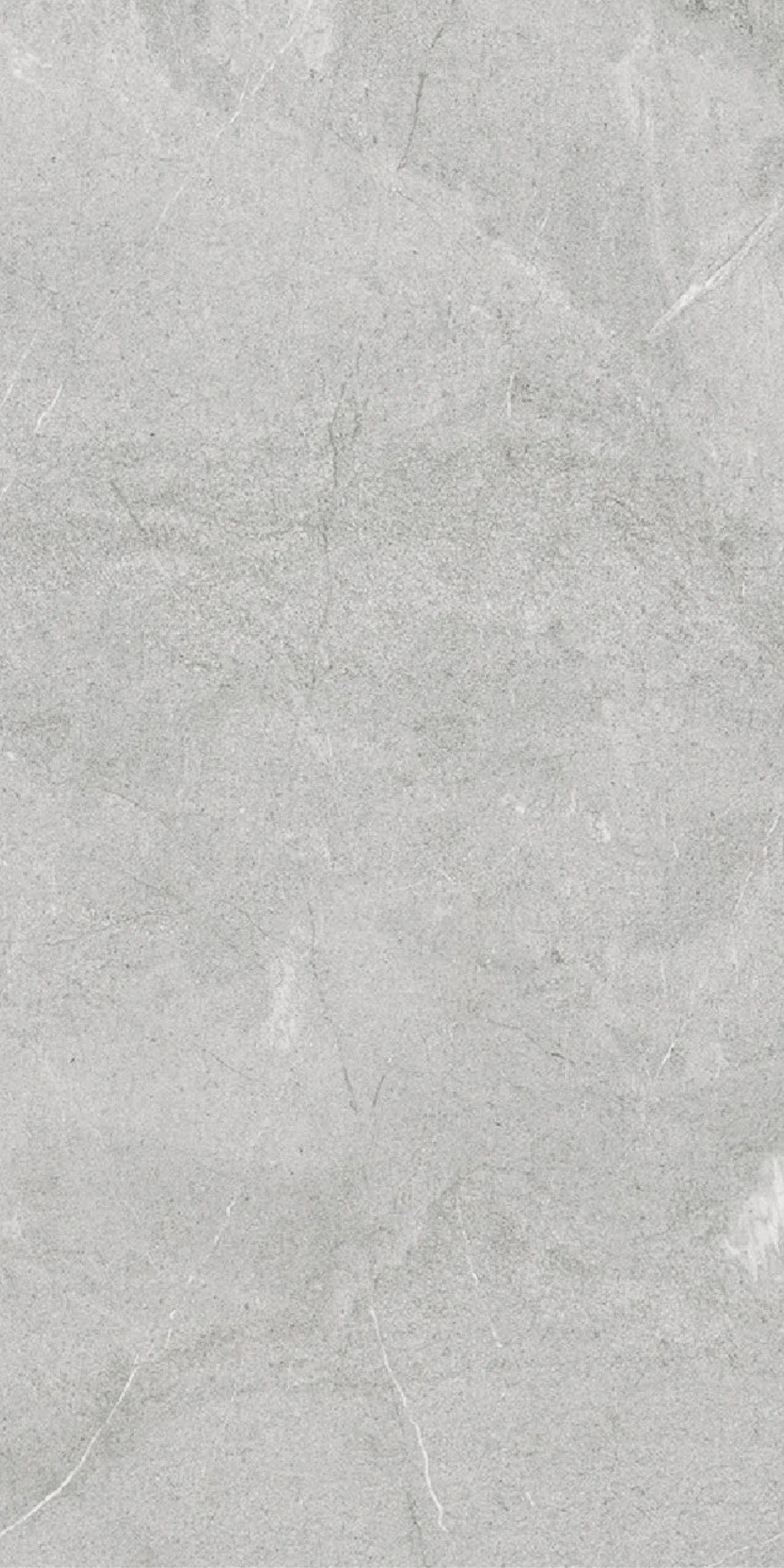 ST FIOR@ H62094.webp