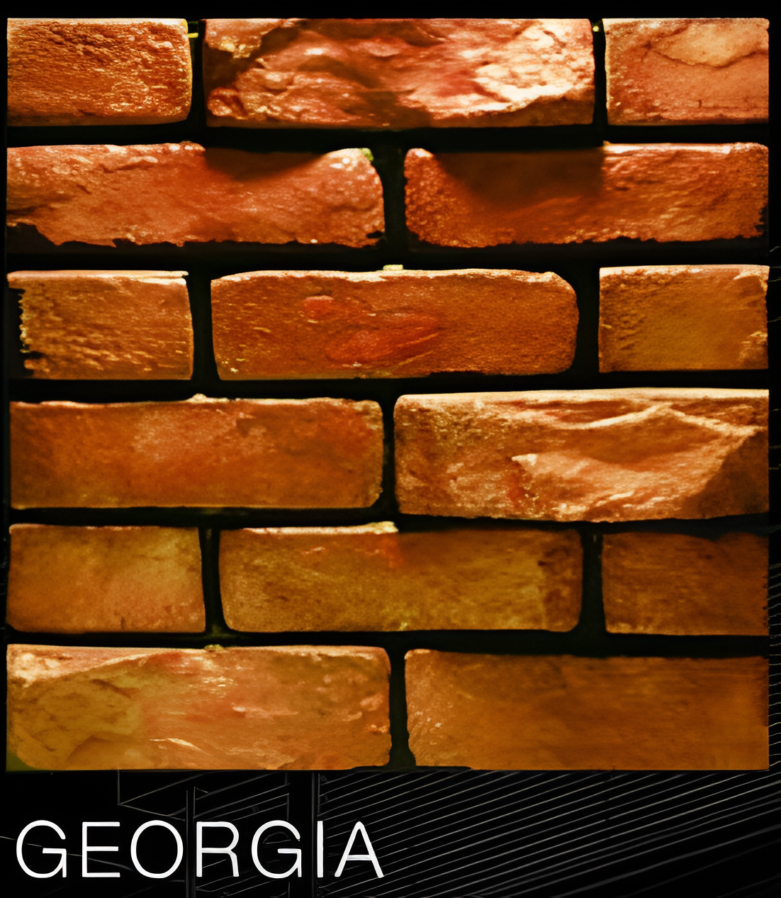 ASI GEORGIA INDIANA SERIES