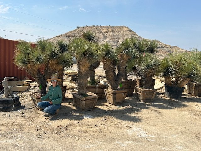 Lexi with harvested plants.jpg