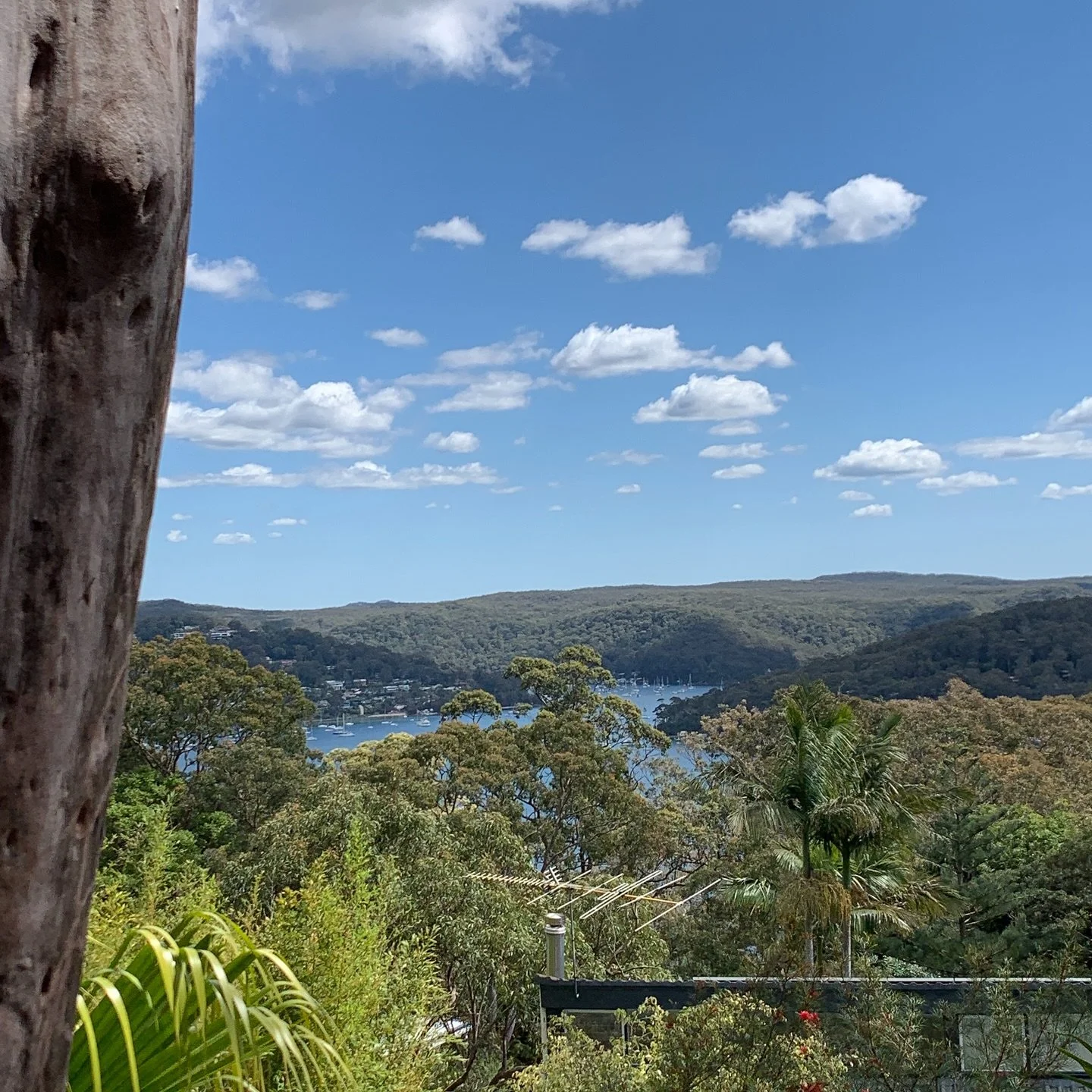 Lately I&rsquo;ve been spending far too much time on my phone (maybe you can relate?).

In an attempt to change this, I listened to my own advice, and started with small changes. 

I take Petri for a walk most days and usually bring my phone. I&rsquo