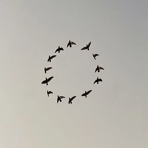 You&rsquo;re not simply &lsquo;unlucky&rsquo; if you experience symptoms around your period&hellip; your body is trying to tell you something.

As someone who has experienced pretty severe PMS and painful periods for years, I often compared myself to