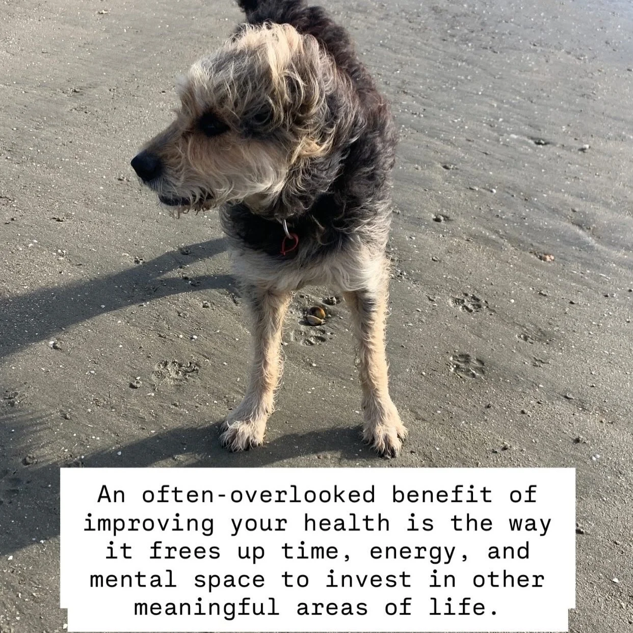 Quieten the health noise and make room for more of what matters to you.