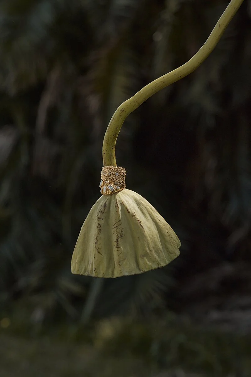 AMBER SCEATS15212.jpg